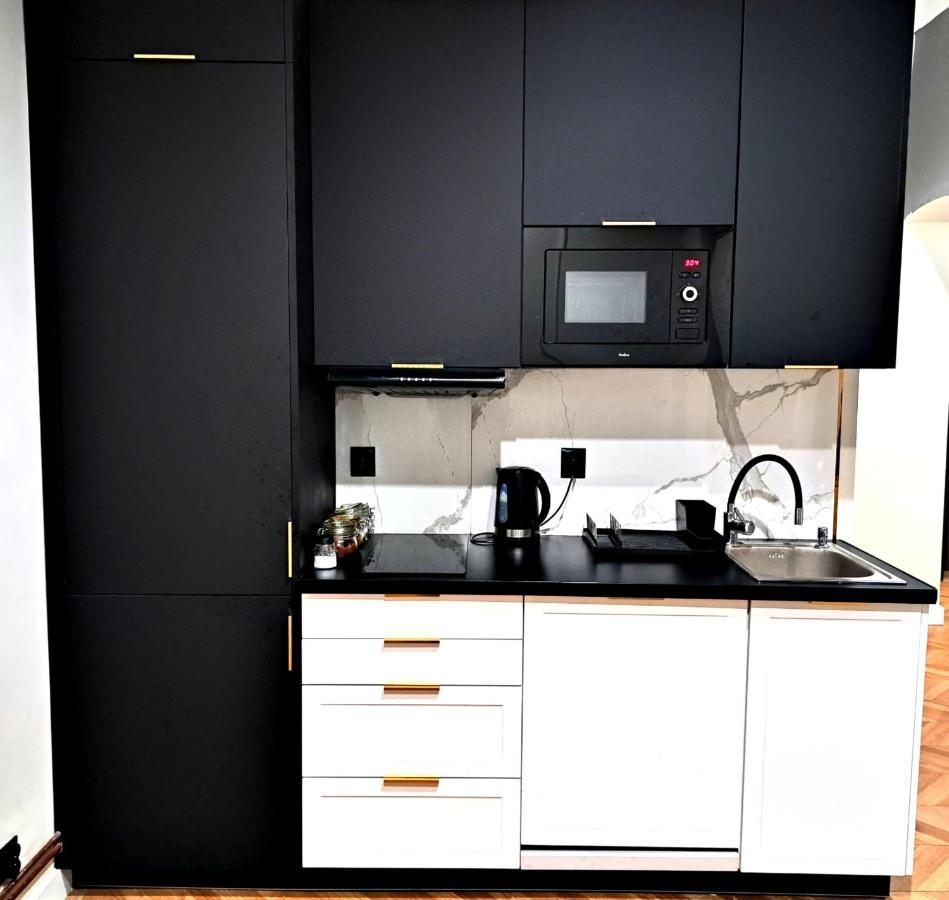 Kopernik Premium Rooms Apartment Torun Bagian luar foto